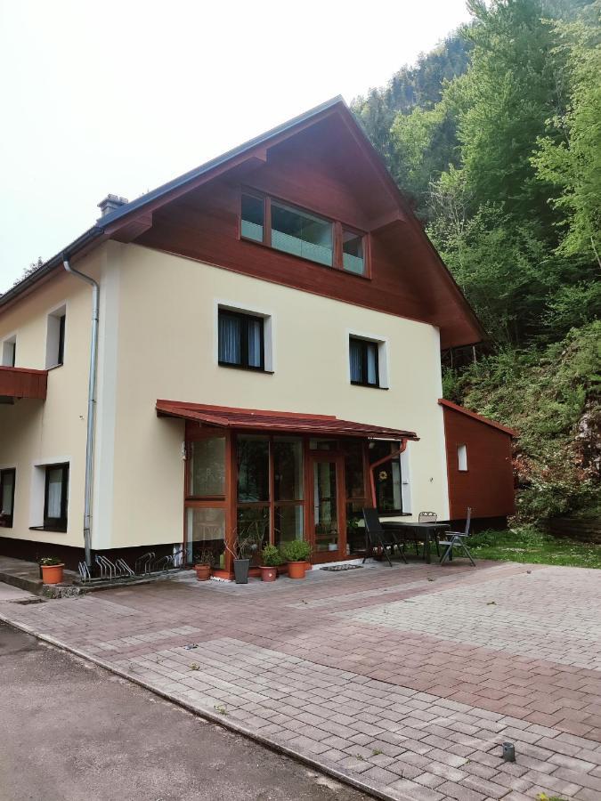 Seeblick Krippenstein * Obertraun